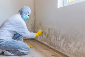 Best Comprehensive Air Testing for Mold Contaminants in Heber, CA