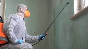 Best Mold Prevention Services in Heber, CA