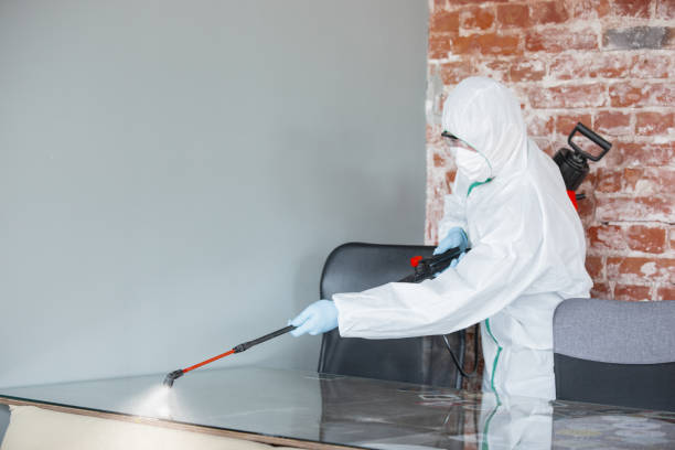 Best Biohazard Mold Removal in Heber, CA